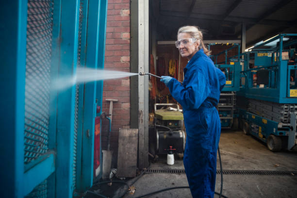 Best Affordable Power Washing  in Cedar Springs, MI