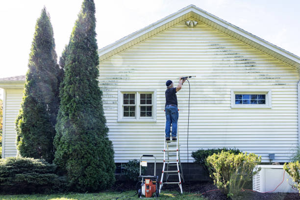 Deck Cleaning Services in Cedar Springs, MI