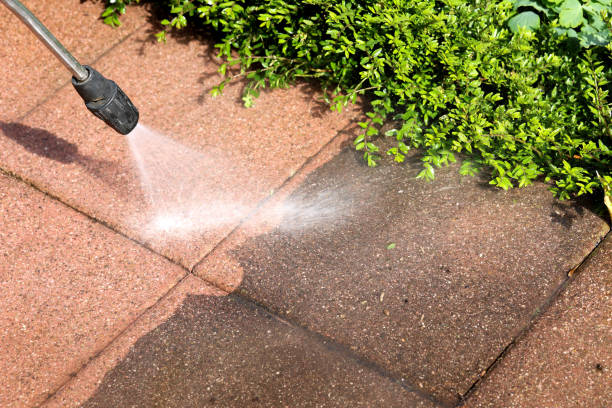 Best Roof Power Washing Services  in Cedar Springs, MI